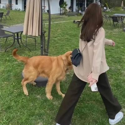 荒村怨灵