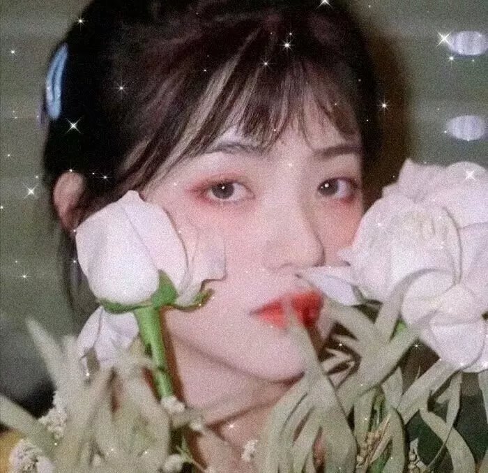 明月曾照江东寒
